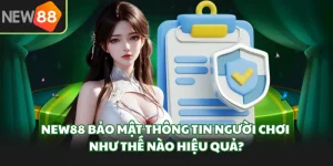 New88 Bảo Mật Thông Tin Người Chơi Như Thế Nào Hiệu Quả?